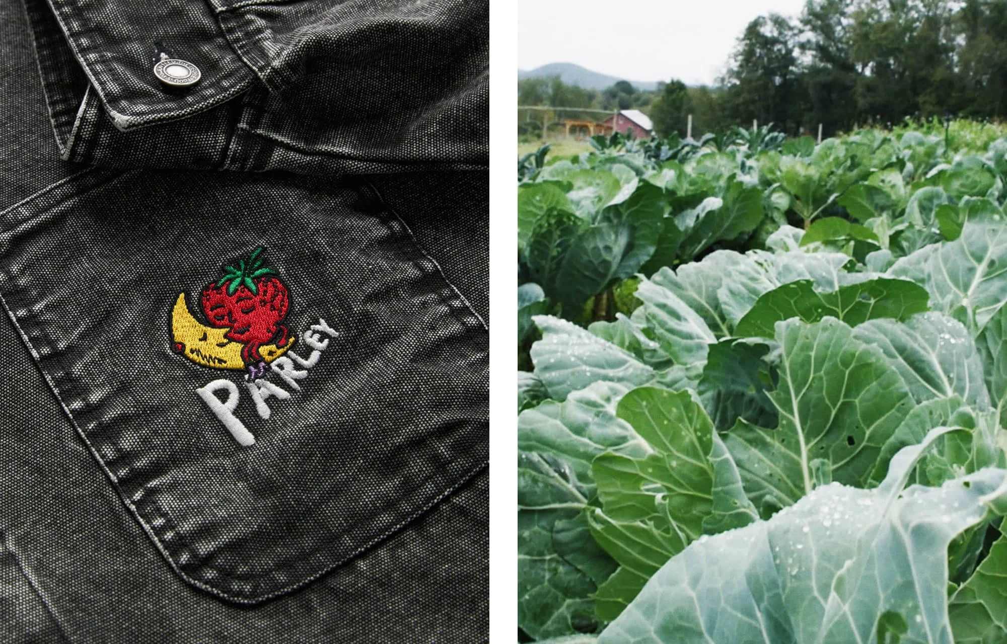 SKY HIGH FARM: WHERE FASHION MEETS FOOD IN UPSTATE NEW YORK — Parley